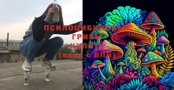 первитин Богданович